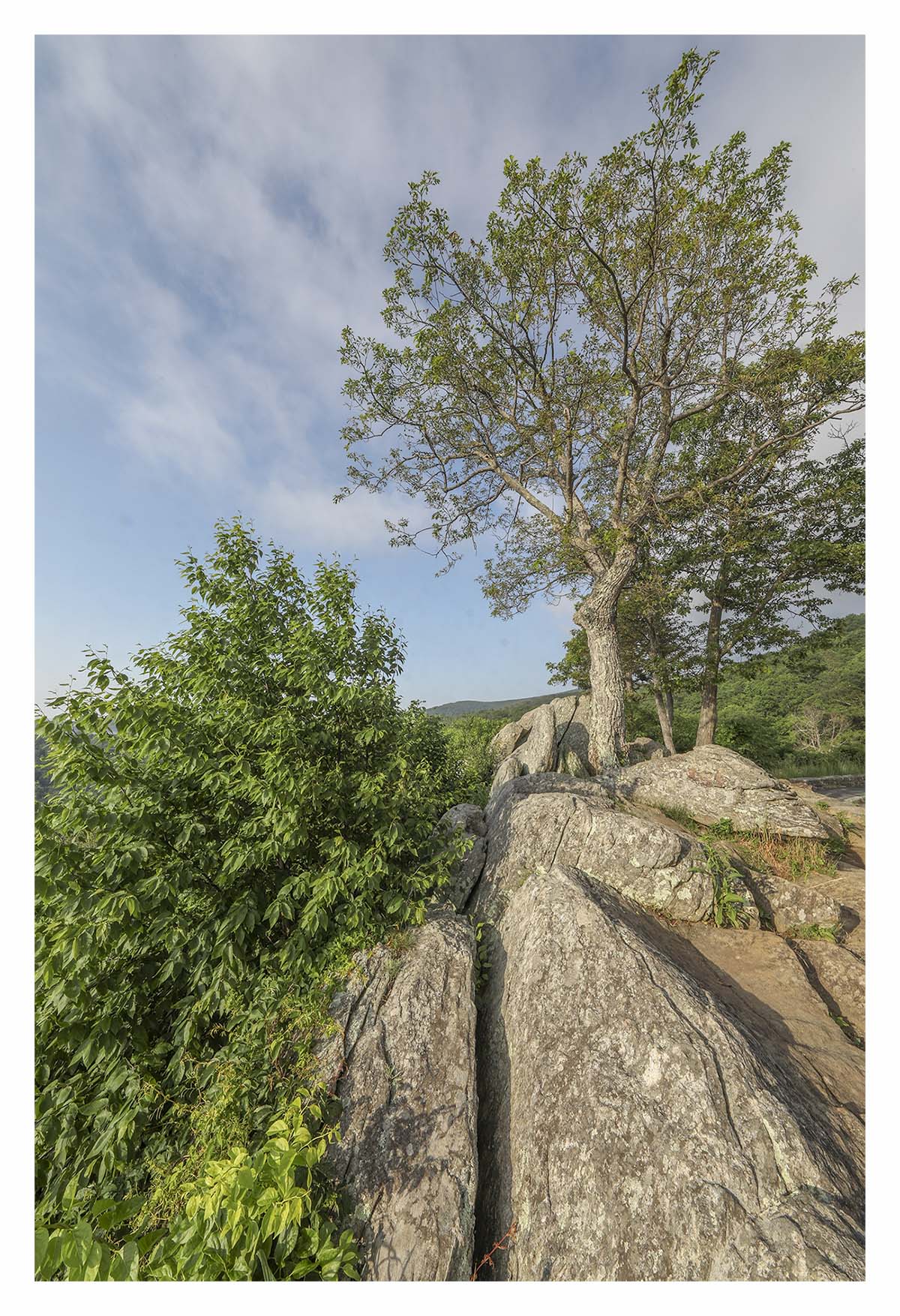 Shenandoah NP